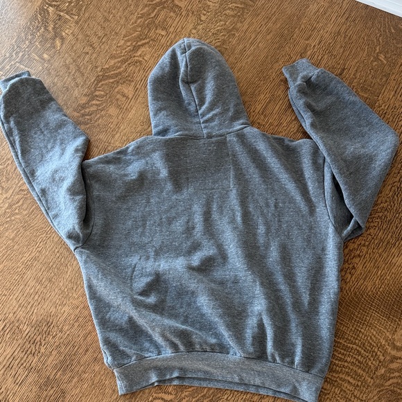 Aviator Nation Gray Hoodie with Colorful Chevron Stripes- worn once! - Picture 3 of 3